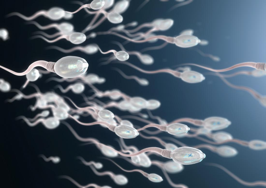 Is Sperm Good For Your Teeth Web DMD is-sperm-good-for-your-teeth-web-dmd