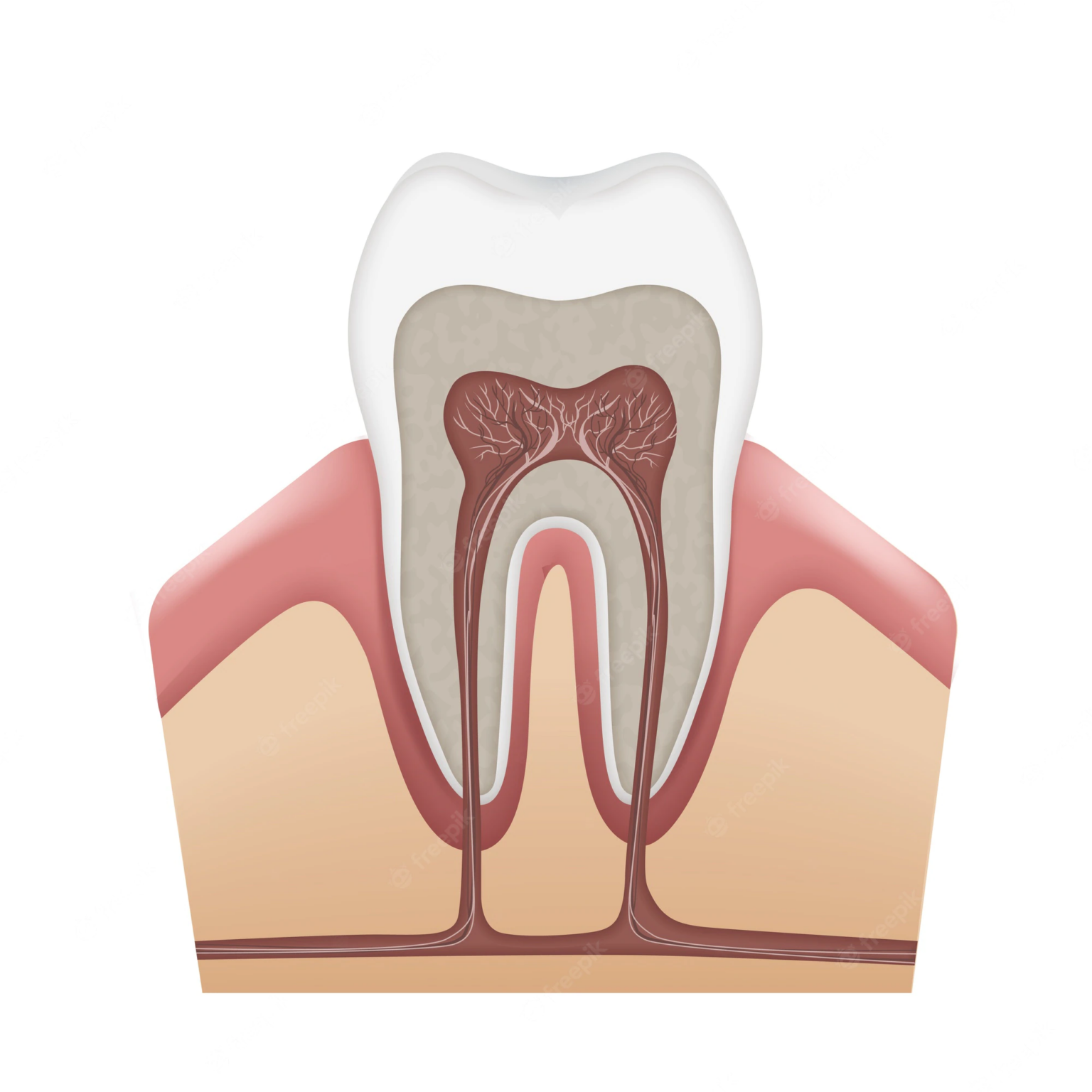 the-dental-box-inferior-alveolar-nerve-block-youtube