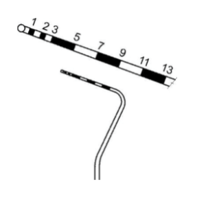 Zoomed Picture of Periodontal Probe