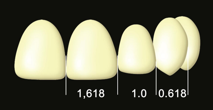 Ideal Tooth Proportions